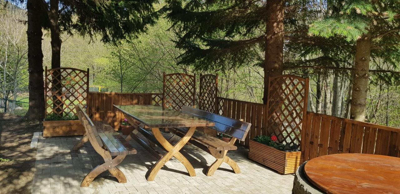 Sezatoarea Lupilor Lepşa Exterior foto