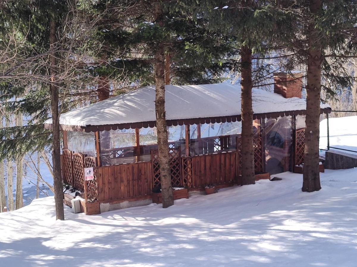 Sezatoarea Lupilor Lepşa Exterior foto