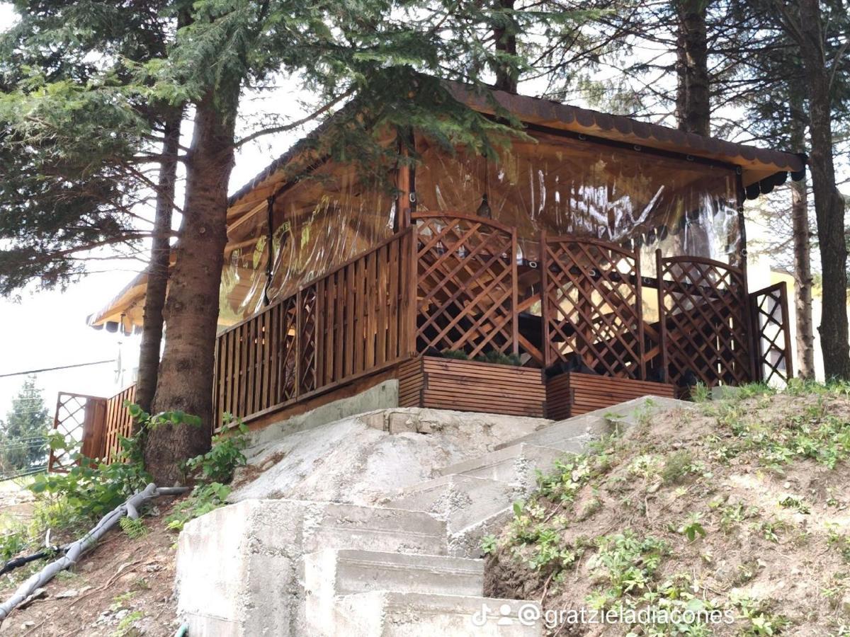 Sezatoarea Lupilor Lepşa Exterior foto
