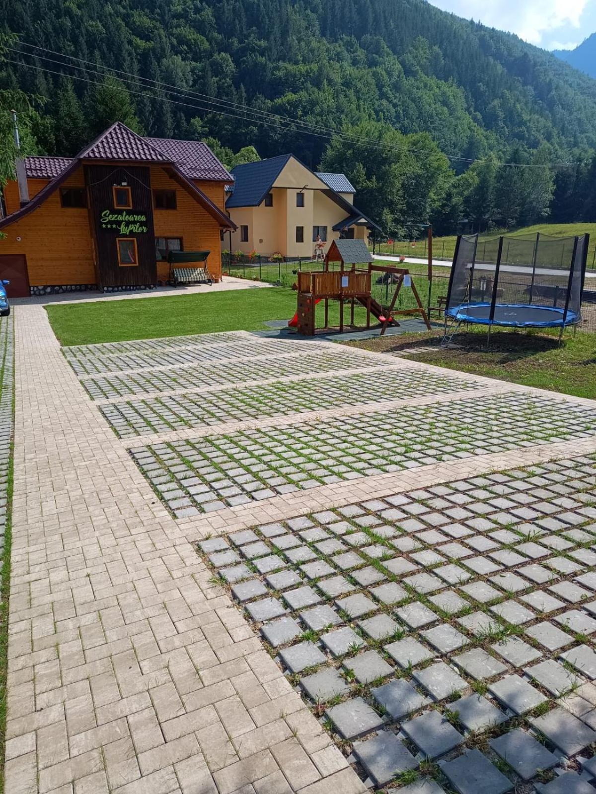 Sezatoarea Lupilor Lepşa Exterior foto